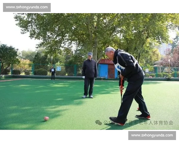 银龄挥杆燃赛场！近 300 名老年运动员门球交锋
